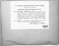 Image Associated With the Occurence